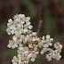P6055755