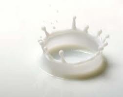 [milk5.jpg]
