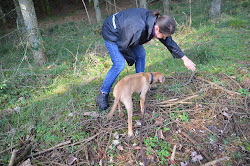a rather hesitant tracking debut DSC_3715.JPG