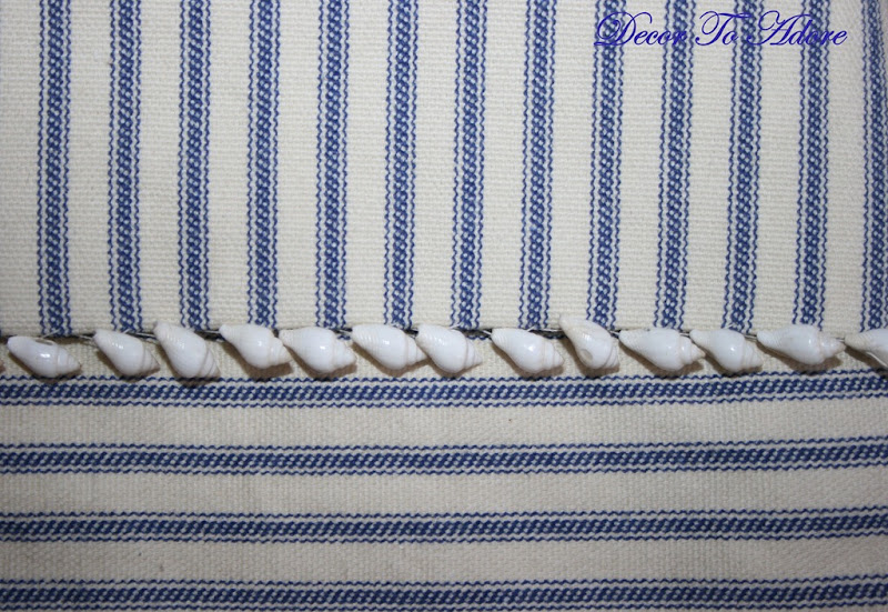 Seashells 011