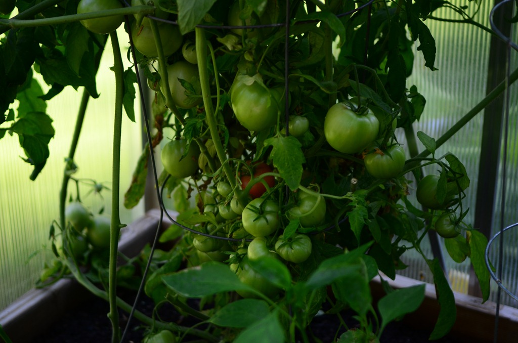 [gardens_5584%255B4%255D.jpg]