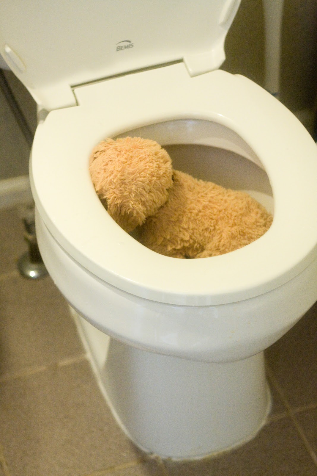 [03%252022%252013_dog%2520in%2520toilet%255B3%255D.jpg]