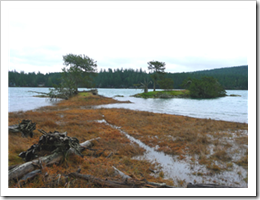 White Point Loop