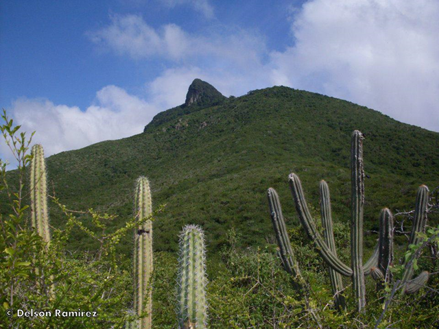 The winning photo of the IUCN Red List for Threatened Ecosystem contest shows Cerro Santa Ana, Paraguana Peninsula, Venezuela. Photo: Delson Ram&iacute;rez / IUCN