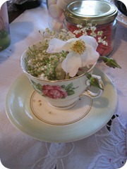 princess and pirate party 011