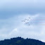 DSCN1214.JPG