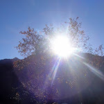 Der herbstliche Garten Eden