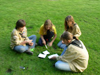 DSCN4031