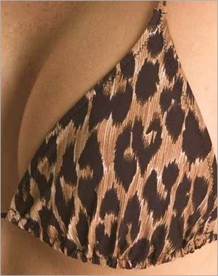 hermoso-bikini-dolce-gabbana-leopard-print-verano-2014-20905-MPE20200044880_112014-O