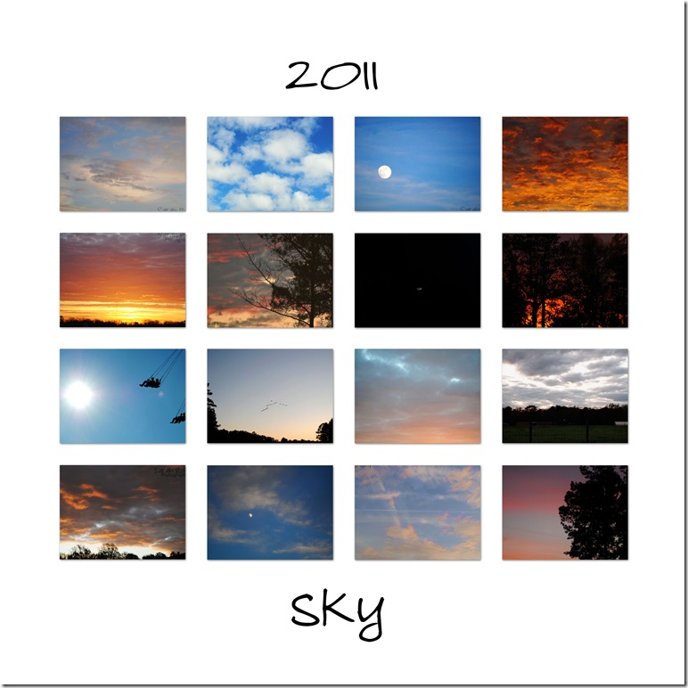 2011-sky