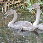 IMG_8186.JPG
