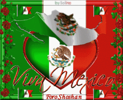 viva mexico independencia (7)