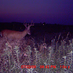 MDGC0081.JPG