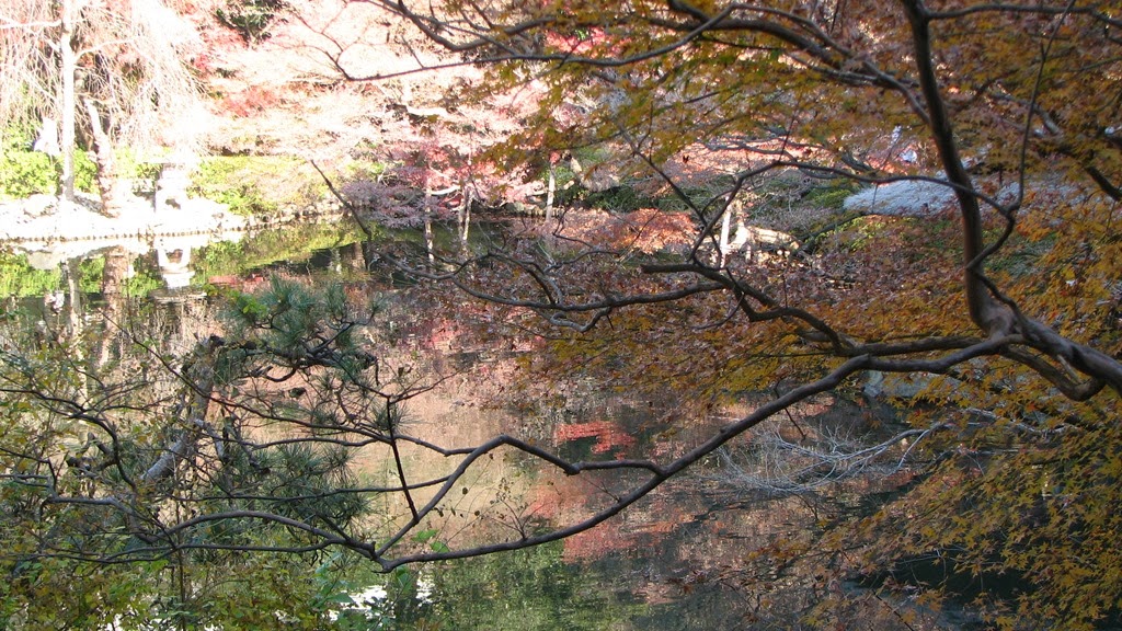 [IMG_4130%255B3%255D.jpg]