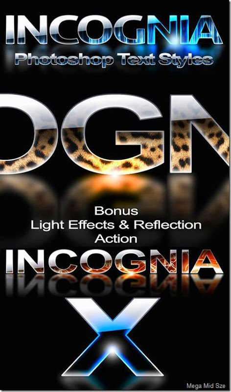 Incognia Reflection