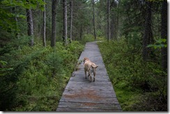 IMG_0906 IMG_0906