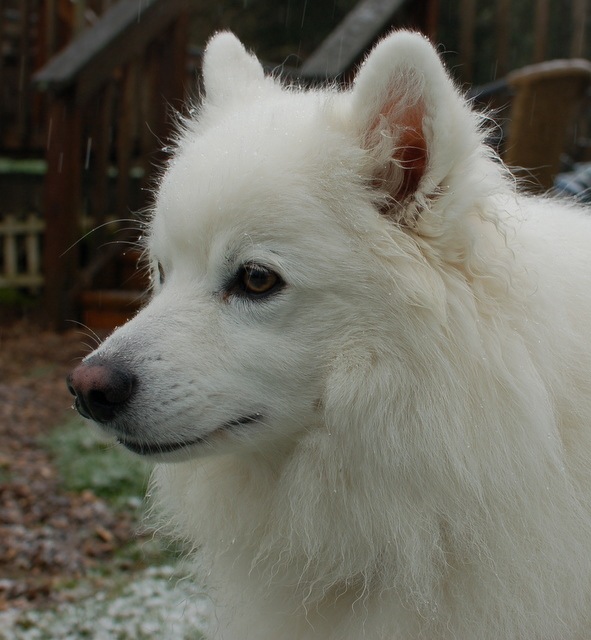 [DSC_5533%255B4%255D.jpg]