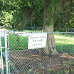 Thoma Ruffin Aycock cemetery.jpg
