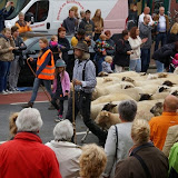 154.JPG