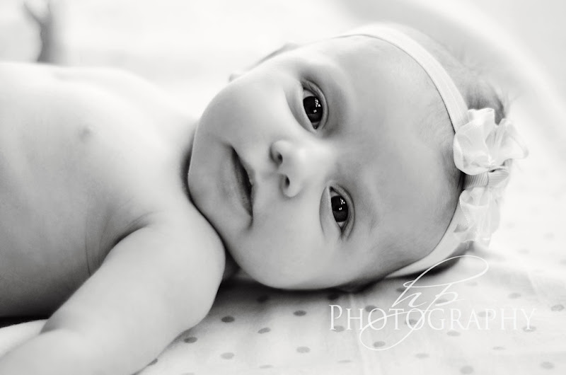 HPP_4464bw