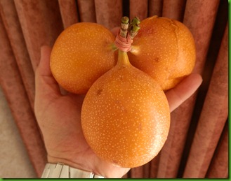 PA220523 PA220523