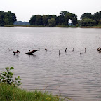 20100815_126_small.JPG