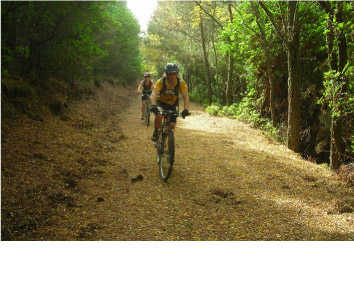 th-recorridos-bicicleta-01.jpg th-recorridos-bicicleta-01.jpg