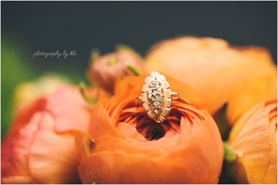 Wedding Flowers Ideas in Bloom Photography by KLC