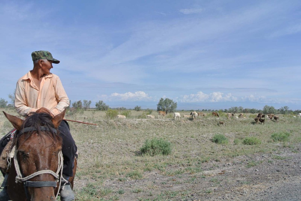 [DSC_5072%255B4%255D.jpg]