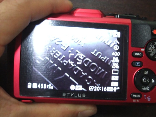 DSCF4882.jpg DSCF4882