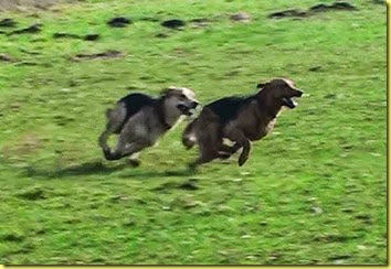 20140305144336-(2) 20140305144336-(2)