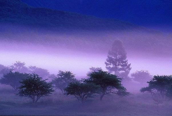 Image Dimension: 602x405 :: Photos: Trust me its Real Photos: Trust me its Real