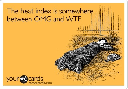 [The-heat-index-is-somewhere-between-OMG-and-WTF%255B5%255D.jpg]