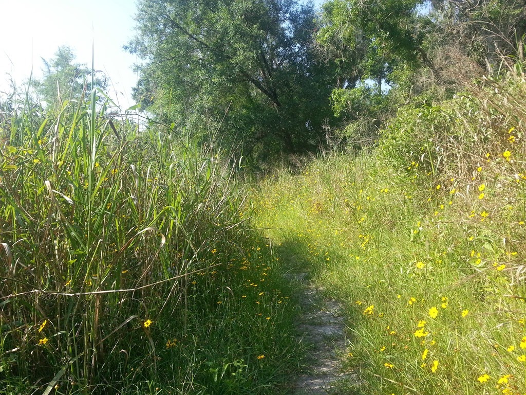 [Wildflowers-on-the-trail.jpg]