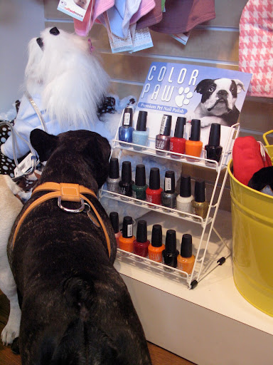 I don't know, Sharkey.  This shade of blue is really pretty.