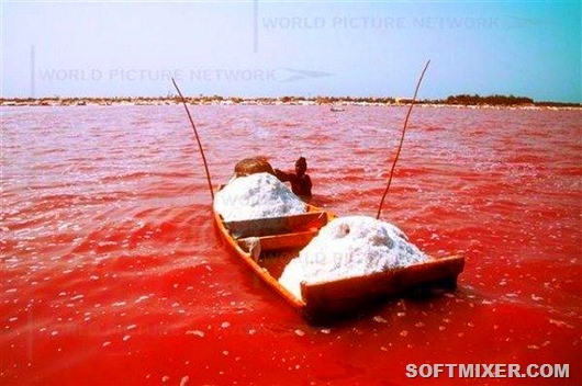 lake-retba-016 lake-retba-016
