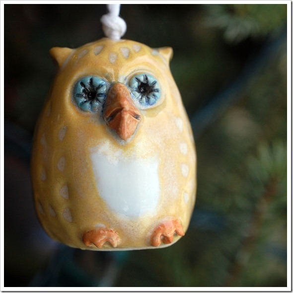 SQ grumpy owl
