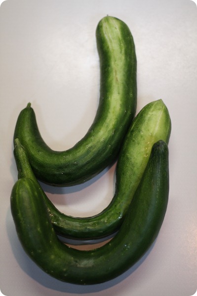 IMG_5188