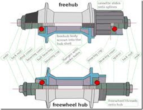 hub_anatomi hub_anatomi