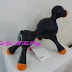 Doggy Blow Up Doll!