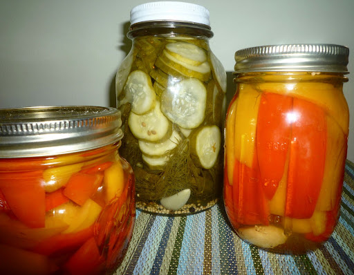 Viola!  Our pickled presents all ready for gifting.