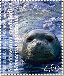 Mediterranean Monk Seal