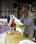 IMG_0962.JPG