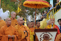 NVC_7849.jpg