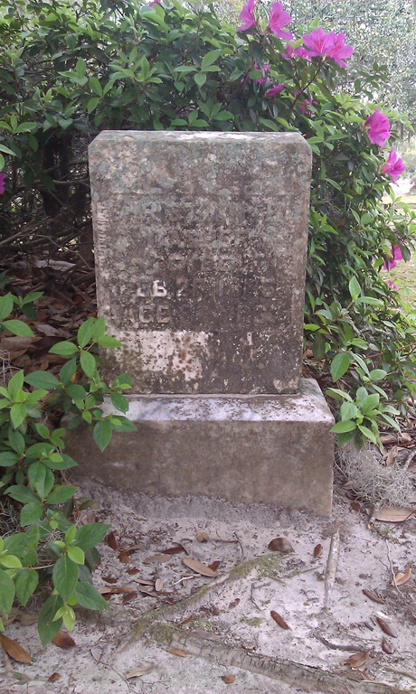 [IMAG00504.jpg]