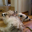 DSCN0251.JPG