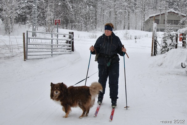 Winterdag 018