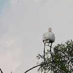 IMG_6664.JPG