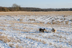 _DSC0031.JPG