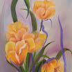 41.Tulpen.jpg